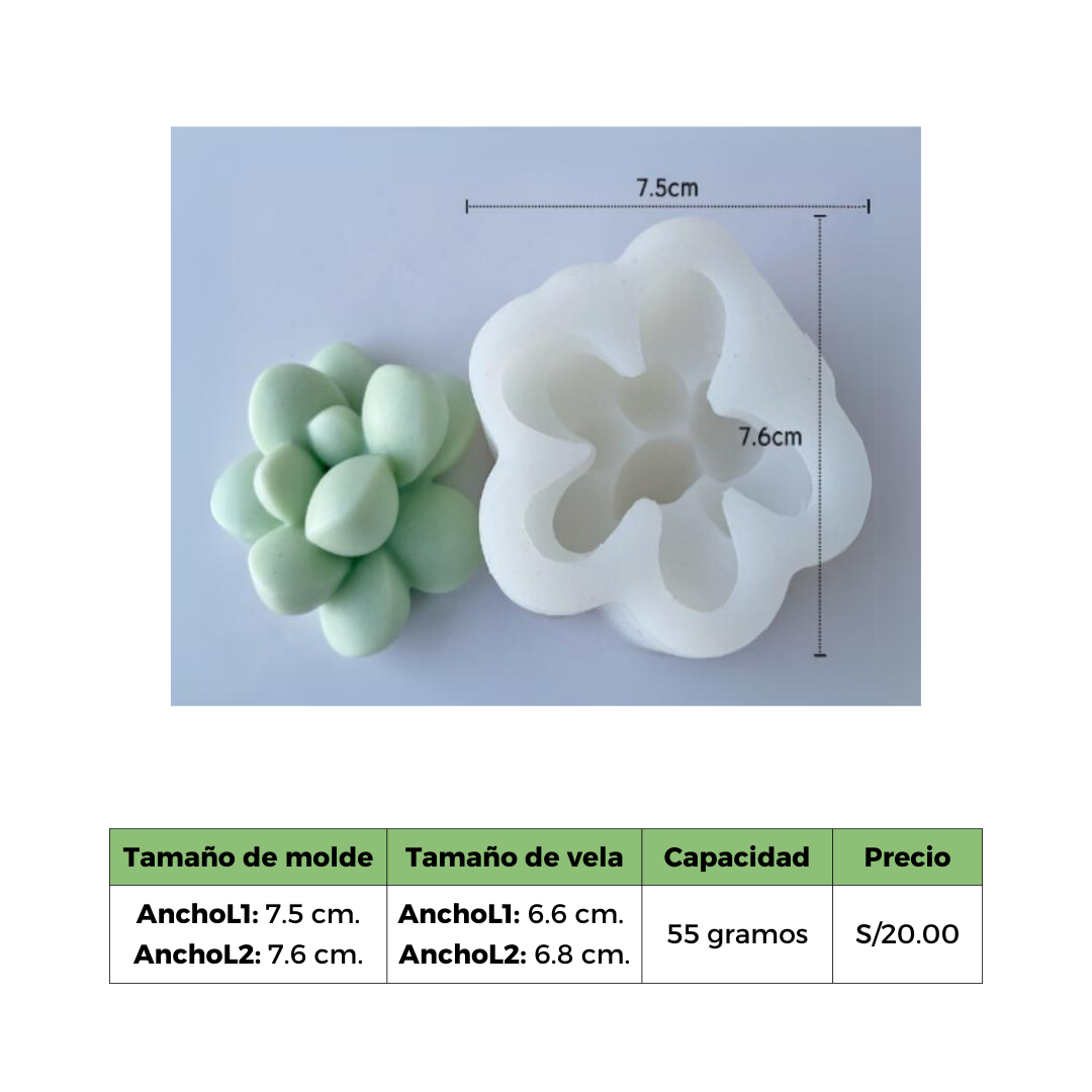 SUCULENTA 8 MOLDE