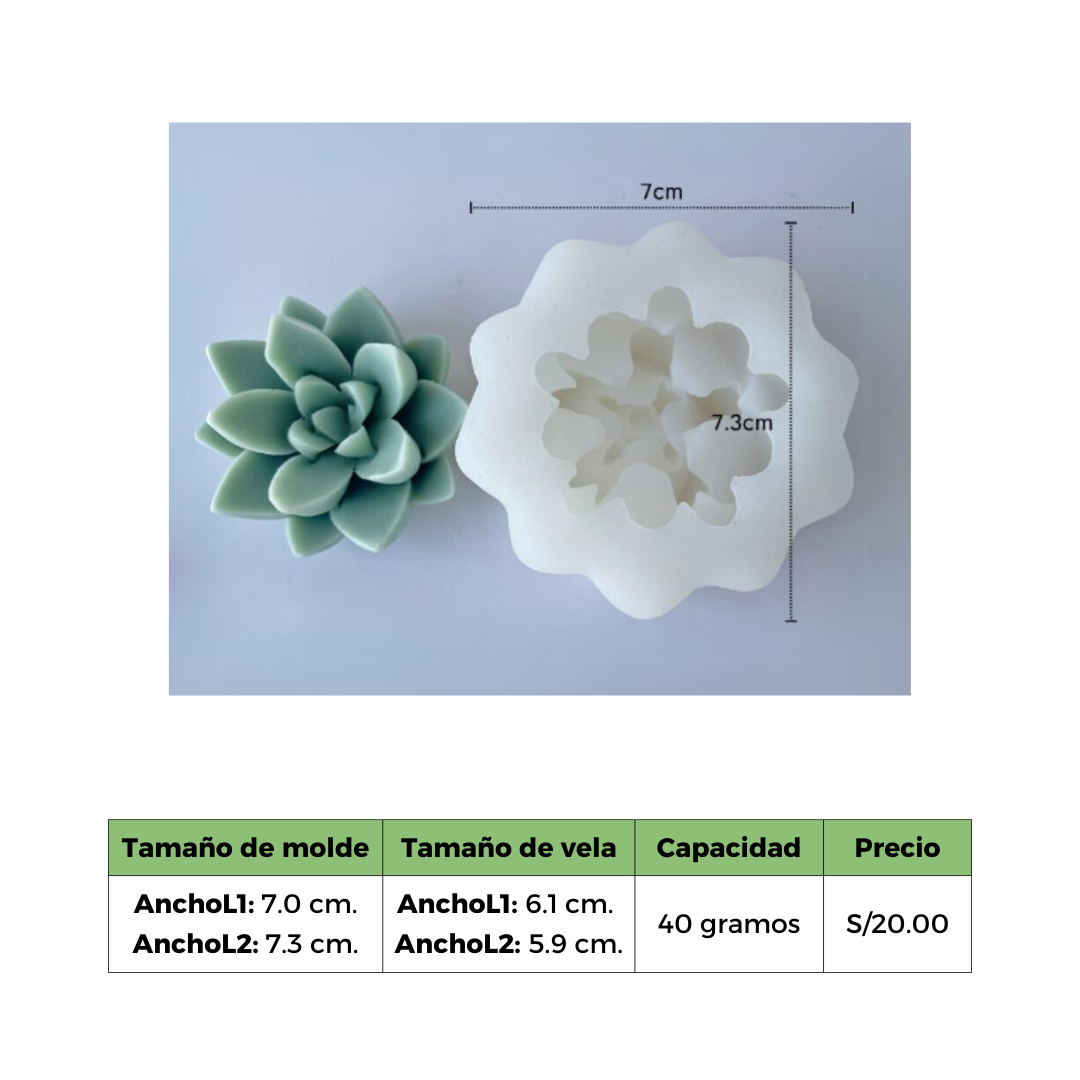 SUCULENTA 7 MOLDE