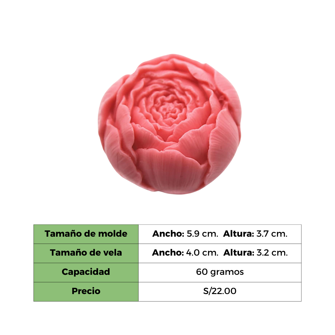 ROSE MEDIANO MOLDE