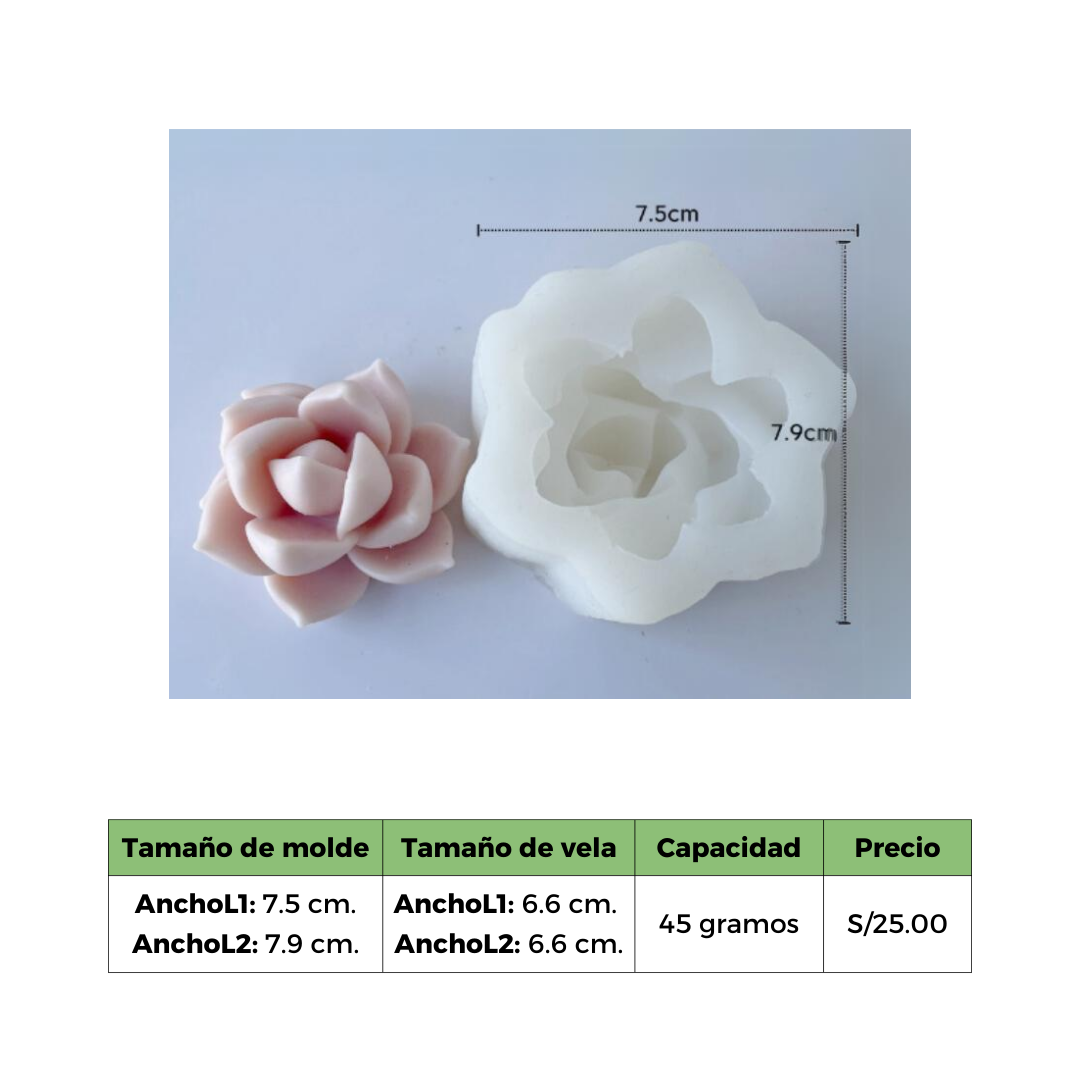 SUCULENTA 10 MOLDE