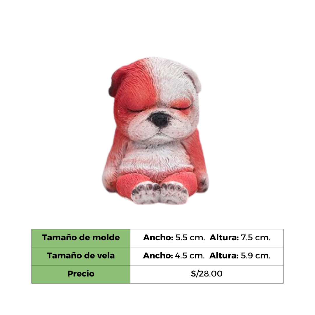 BABY BULL DOG MOLDE