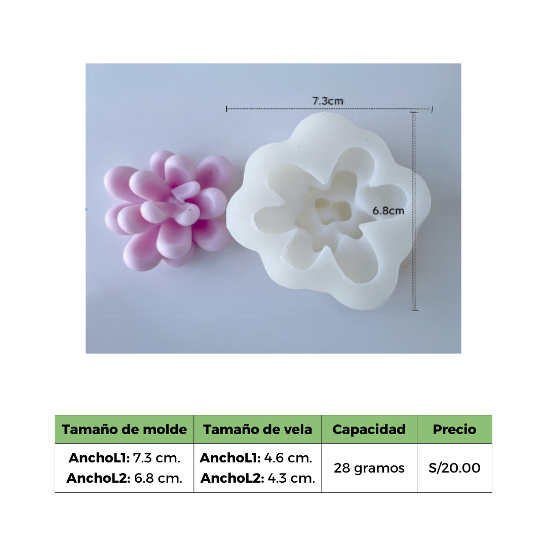SUCULENTA 6 MOLDE