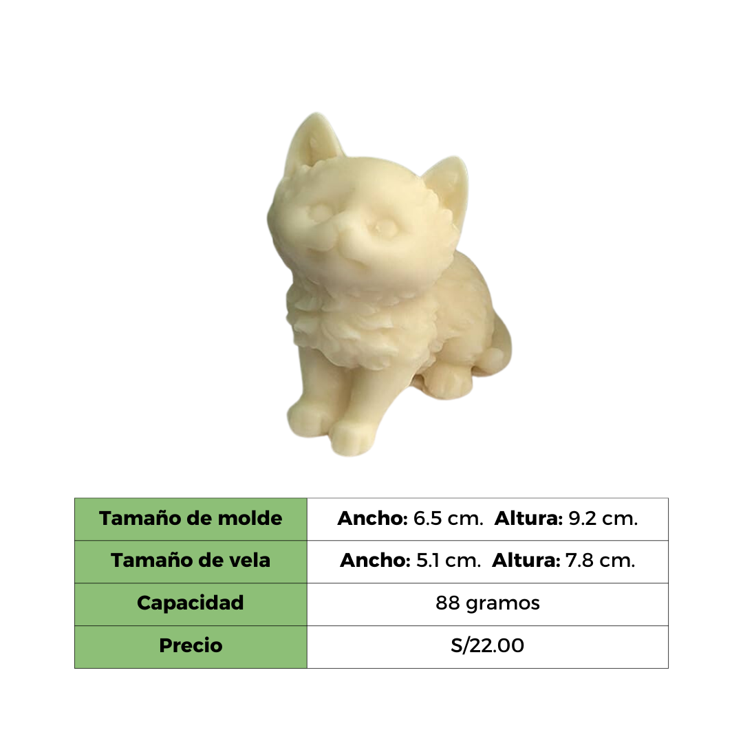 CAT MOD 2 MOLDE