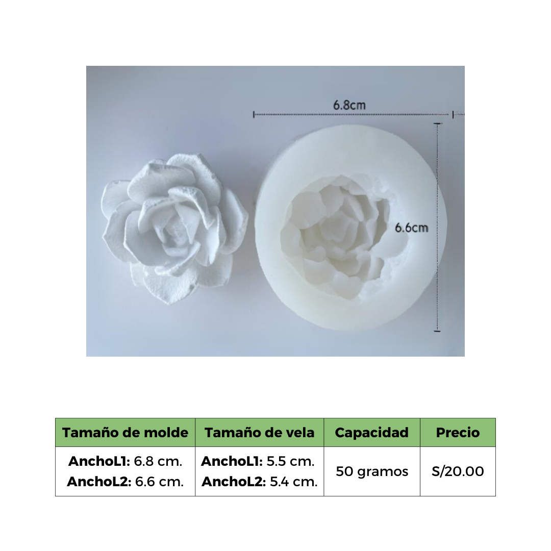 SUCULENTA 9 MOLDE