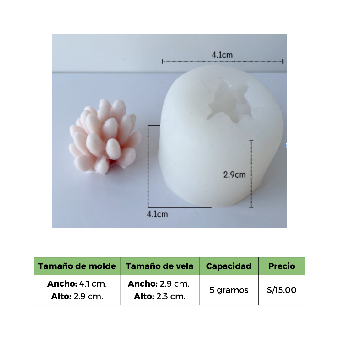 SUCULENTA 2 MOLDE