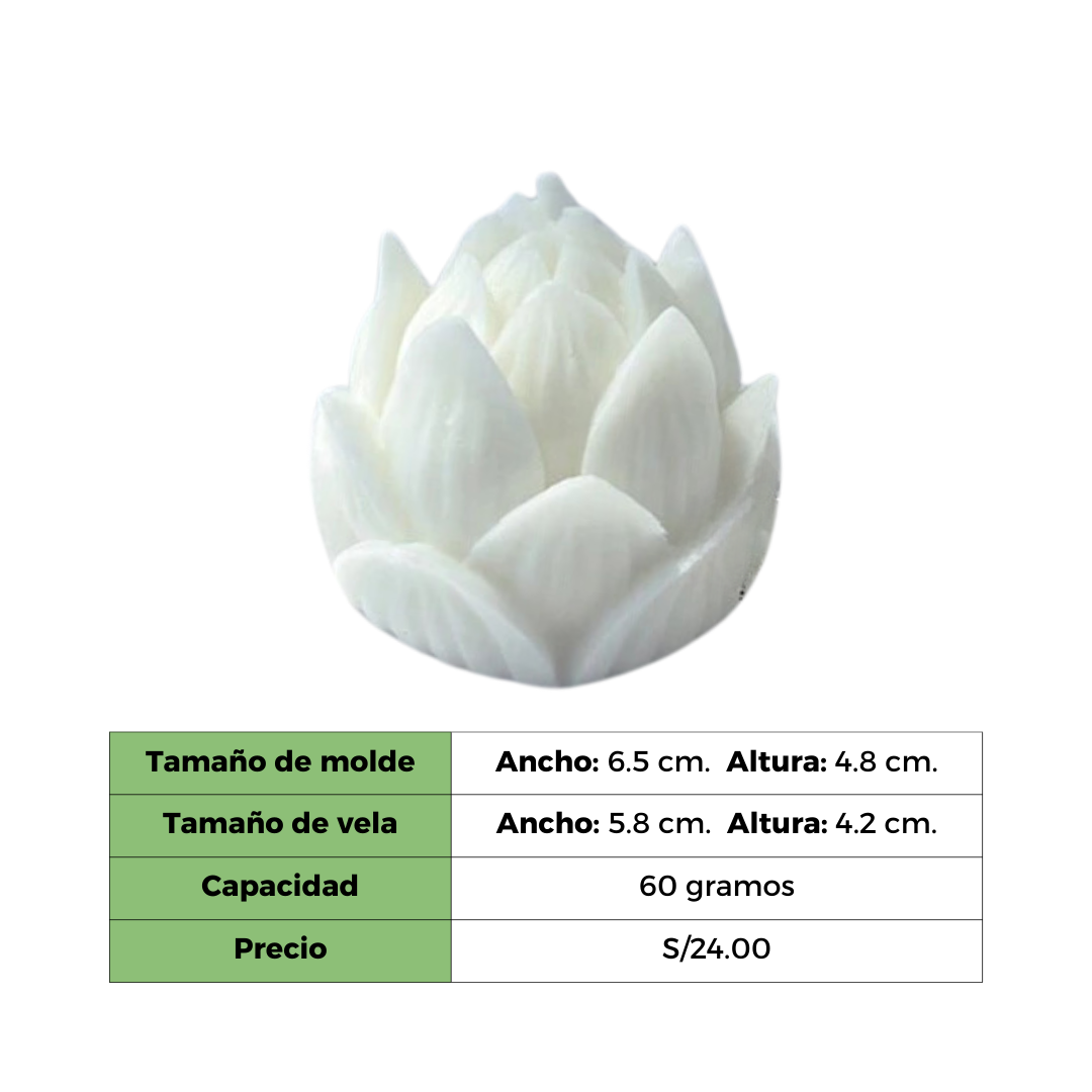 FLOR DE LOTO MOLDE