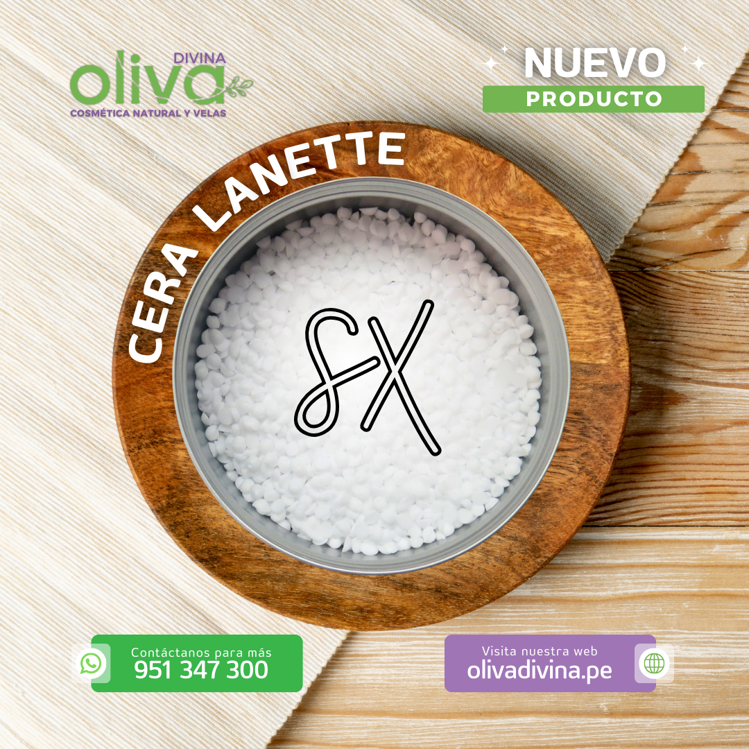 CERA LANETTE SX