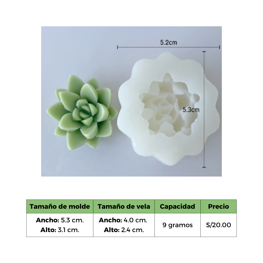 SUCULENTA 3 MOLDE