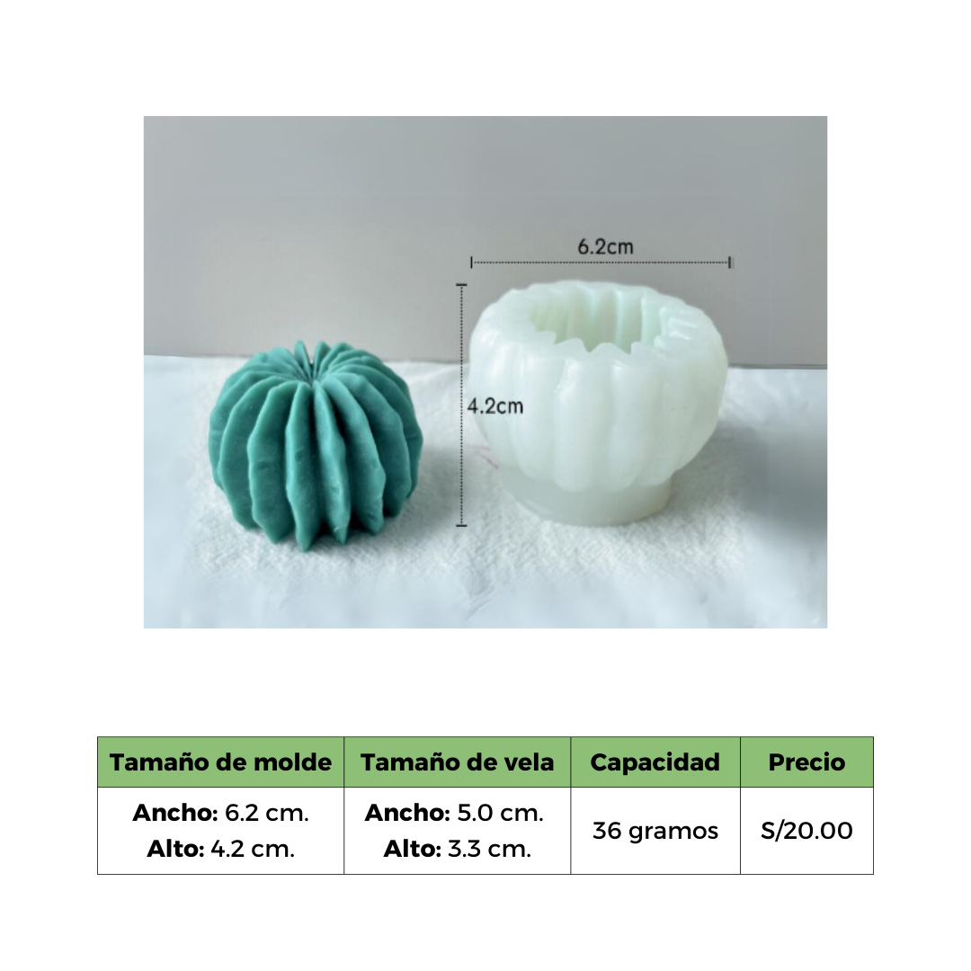 CACTUS 4 MOLDE