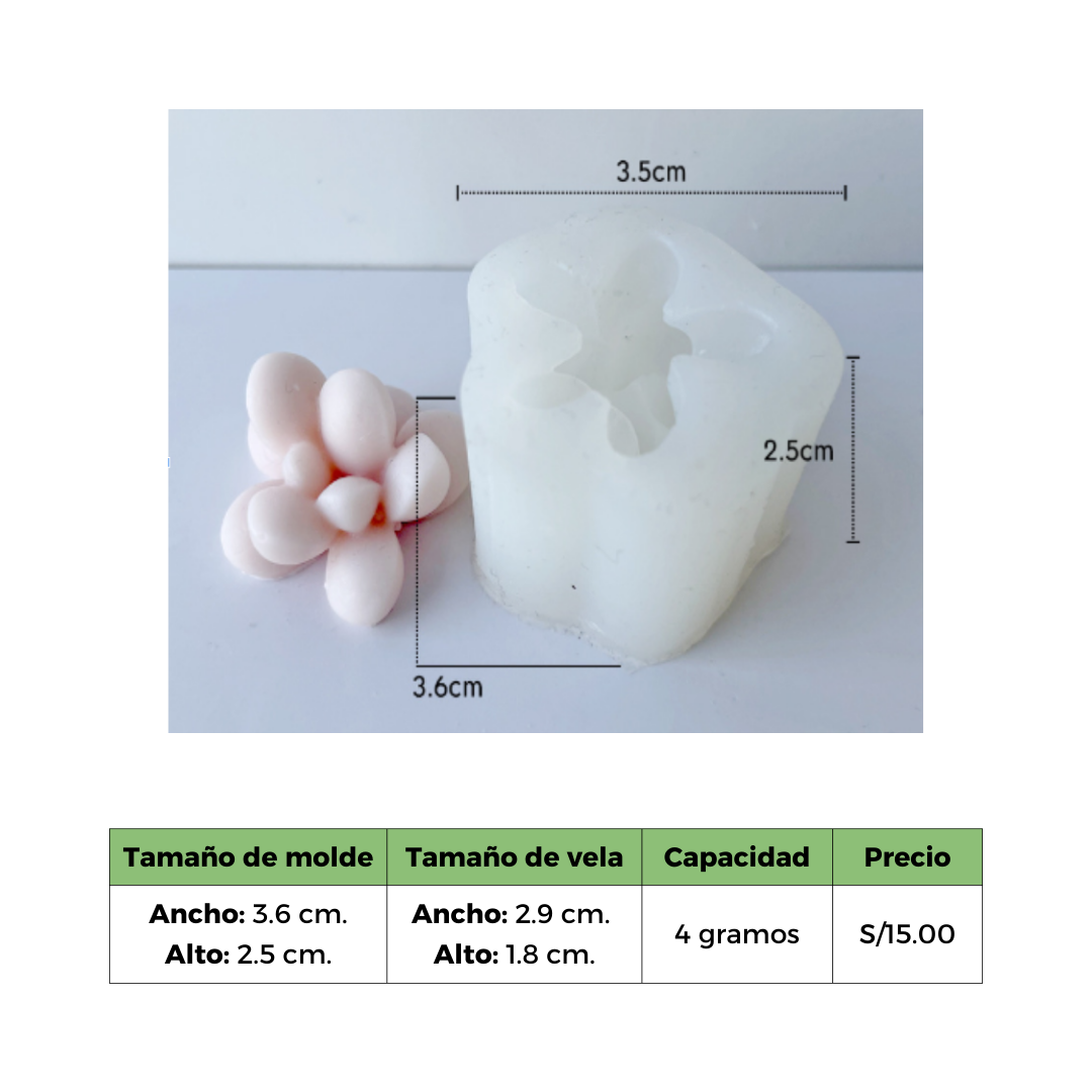 SUCULENTA 1 MOLDE